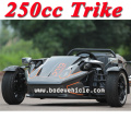 NEW chinese three wheel motorcycle 4 gears 3 wheel motorcycle with one reverse gear,manual cluth 250cc (MC-369)